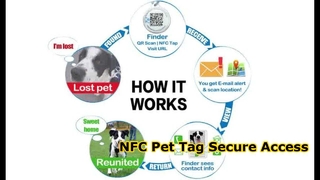 Etiqueta RFID para mascotas epoxi